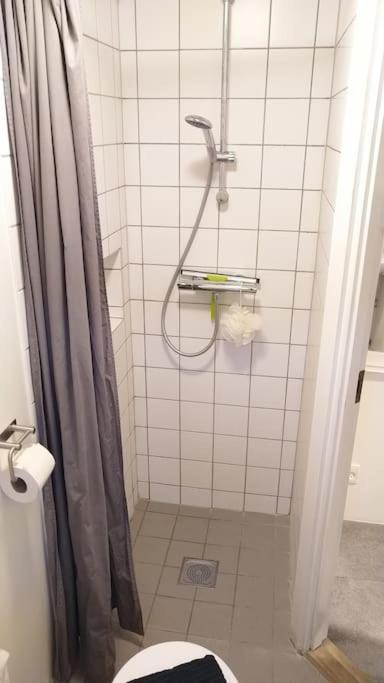 Hus-lejlighed I Ejendommens Baghus. Ottos Hule Apartment *